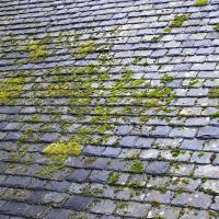 Réalisation travaux d'entretien toiture - Couvreur 91 - Pro